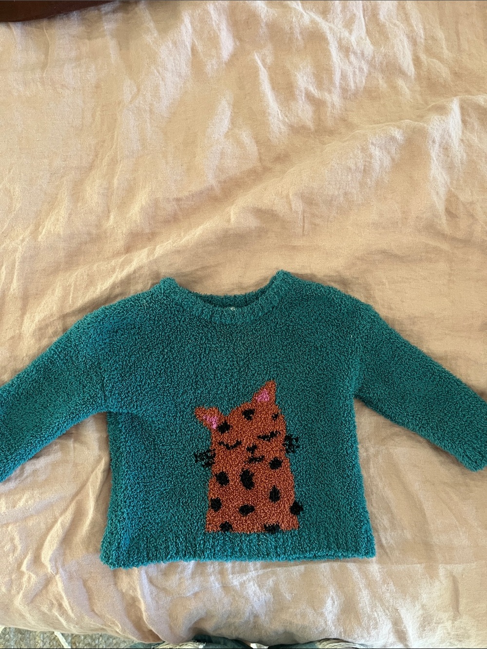 Hanna Andersson Cat Teal Sweater